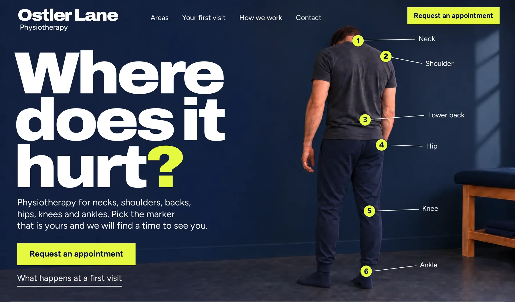 Ostler Lane homepage: the headline Where does it hurt? beside a man seen from behind in navy clothes with six numbered markers from neck to ankle.
