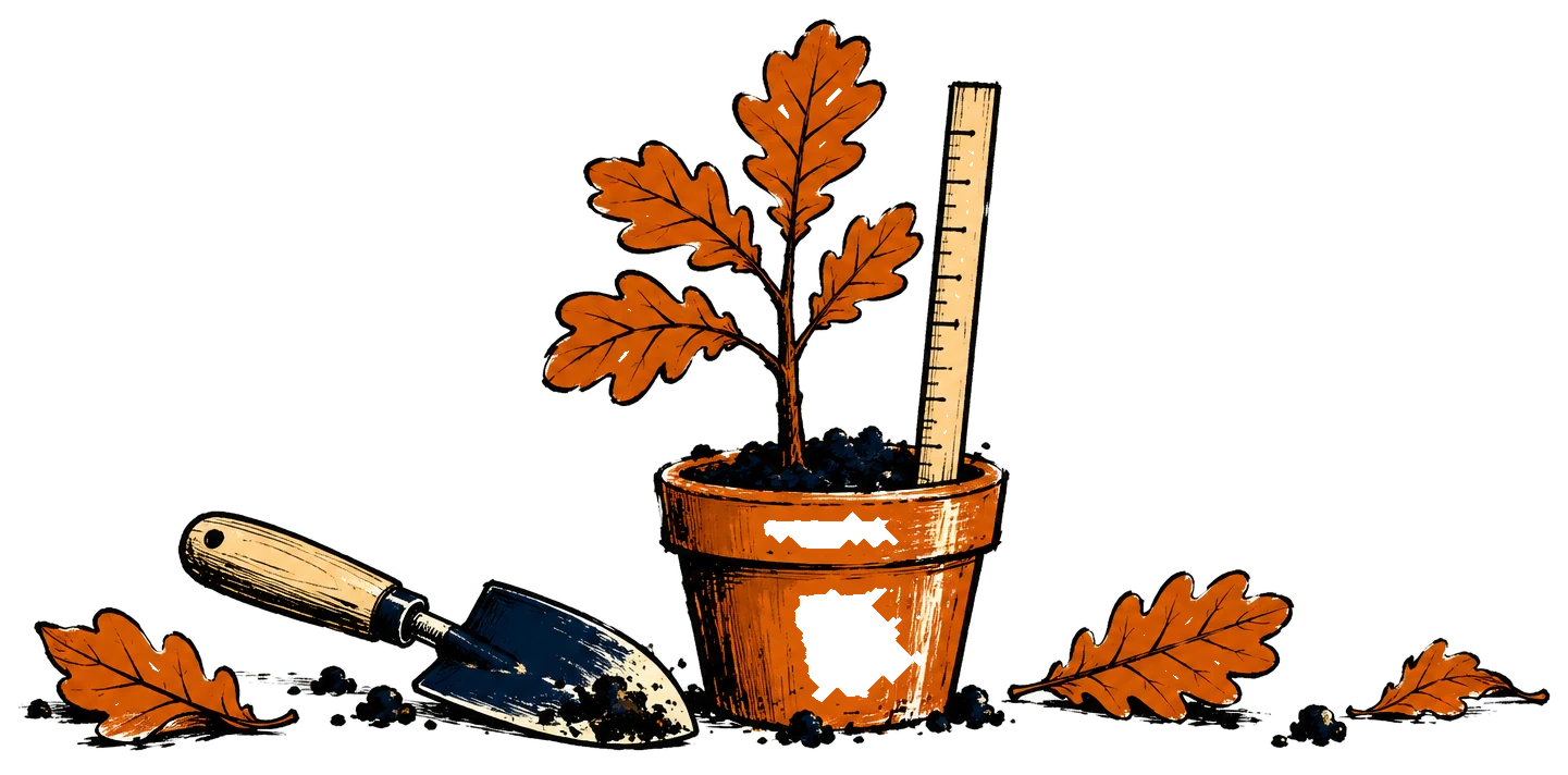 A young oak sapling in a pot beside a wooden measuring stick, with a trowel at its foot.